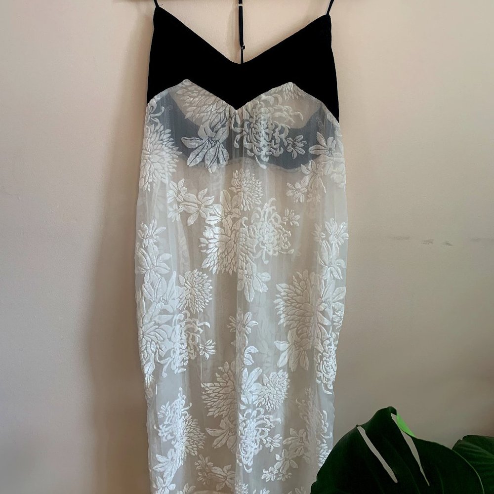 Free People Sheer Dress